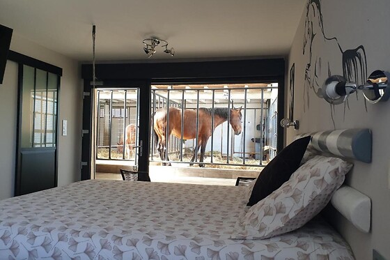 Equi-Lodges - photo 1