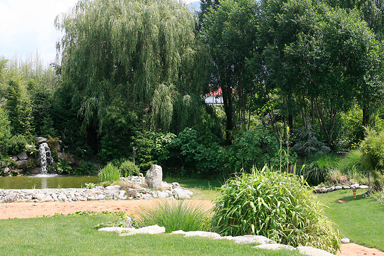 Falconeria Locarno - photo 0