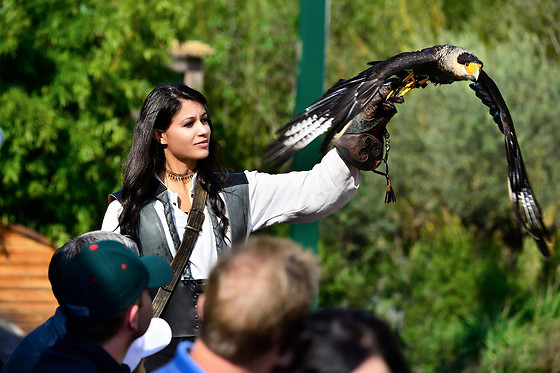 Falconeria Locarno - photo 11