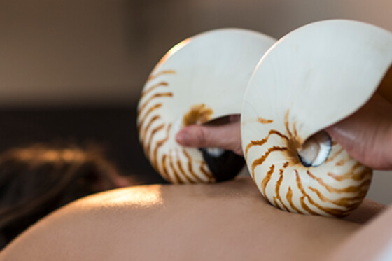 ESTETICA NATURAL RAQUEL TORRES - photo 11
