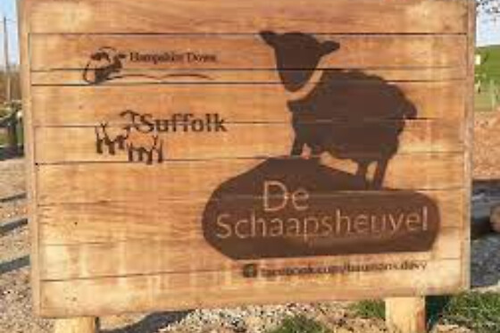 De Schaapsheuvel - photo 5