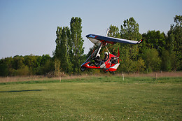 Natur Ailes