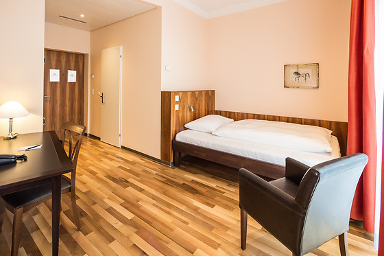 Hotel Schweizerhof Basel - photo 15