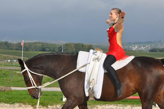 Ecurie Denogent  Club du Lys - photo 0