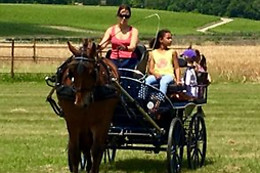Ecurie Denogent  Club du Lys