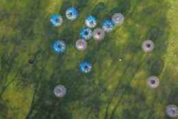 Make Me Bubble