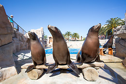 Marineland Hôtel