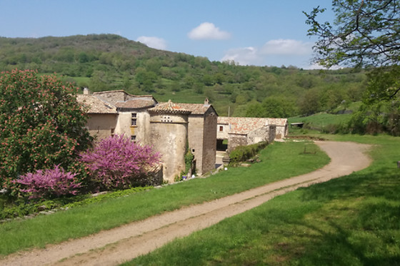 Domaine du Clap - photo 2