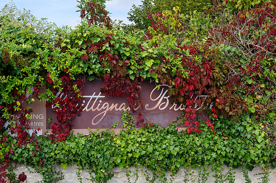 Domaine de Quittignan Brillette - photo 12