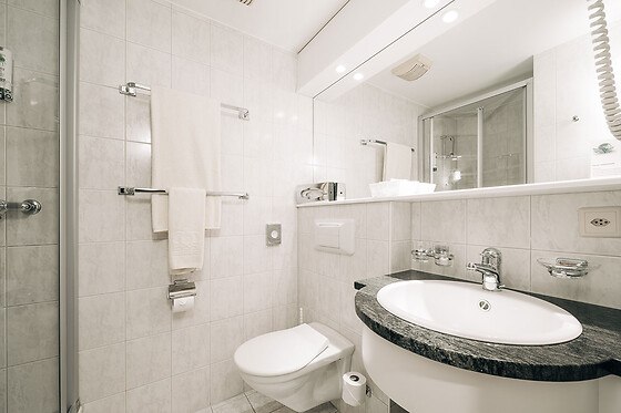 Hotel Restaurant Krone Thun**** - photo 3