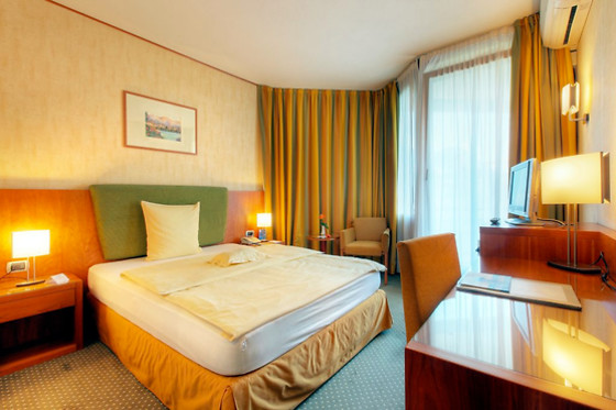Hotel Delfino - photo 8