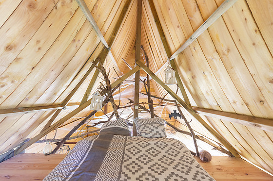 L'Insolite Voyage - photo 14