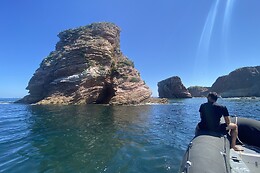 Oceanboat64