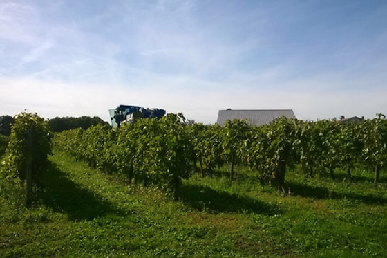 Maine des Moreaux - photo 7