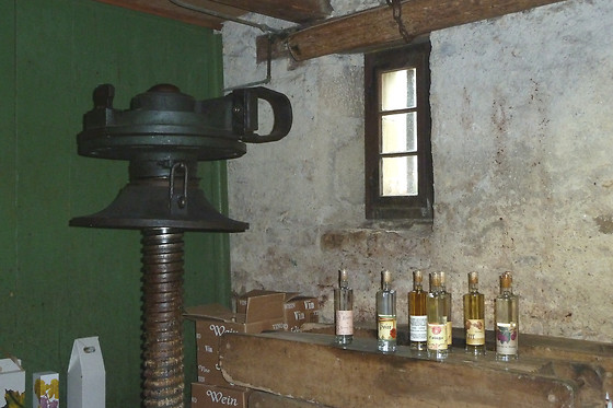 Domaine du Pampre - photo 4