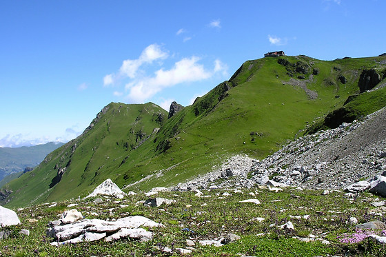 Zucht- und Reitstall Gentinetta - photo 2