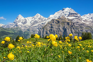 Fabelhafte Schweiz