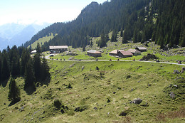 QUADTOUREN BERNER OBERLAND