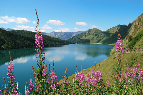 Rifugio Lago Ritom - photo 1