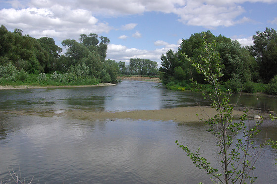 CANOËS DU RIED - photo 2