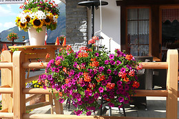 Hôtel Restaurant Les Mélèzes