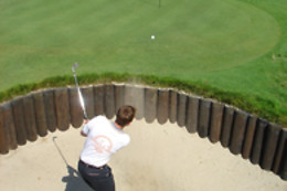 Sake Golf