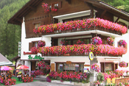 Hôtel Restaurant Les Mélèzes
