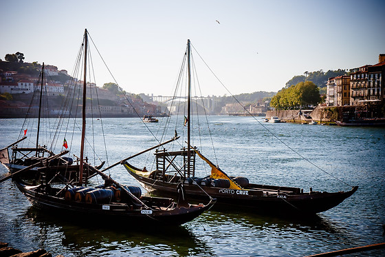 MANOS DO DOURO - photo 11