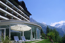 Hotel Waldegg-Engelberg****