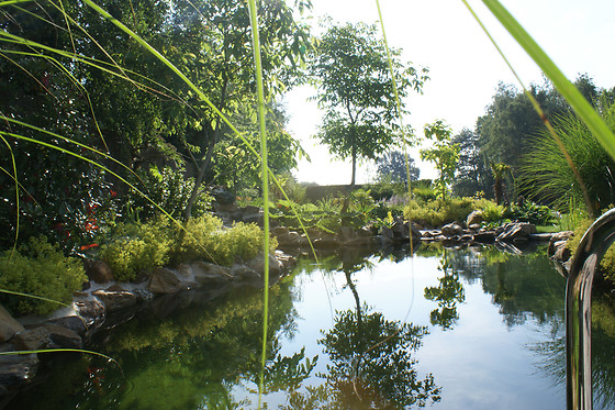 Aqua de lux - photo 3