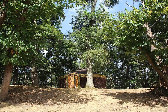 Au Bois D'Escoumos - photo 1