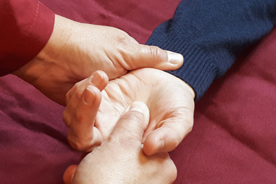 La Force de l'Etre - Shiatsu - photo 1