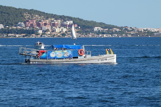 L'Ecothau - photo 3