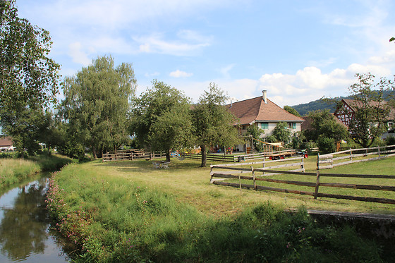 Eselhof Säge - photo 2