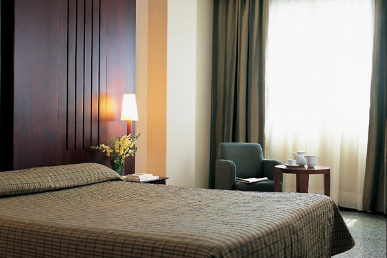 HOTEL AMALTEA - photo 0