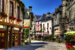 LES VIOLETTES DE MALLEVILLE