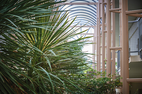 Les Jardins de l'Anjou - photo 6