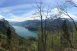Bauernhof Brändliberg