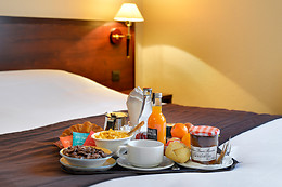 Hôtel Kyriad Orleans Sud - Olivet