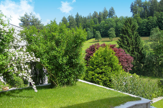 Residenza San Remy - photo 4