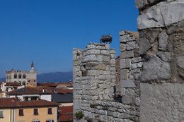 Hotel San Marco Prato