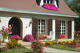 Chambres d'hôtes mille fleurs