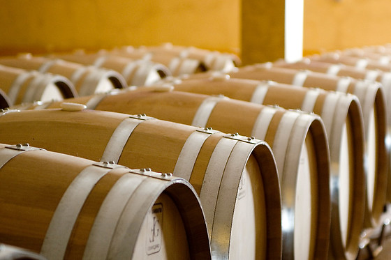 BODEGAS PERFER - photo 4